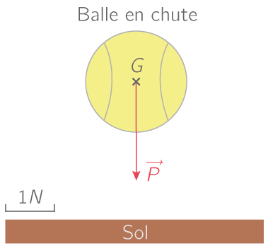 Représentation du poids de la balle