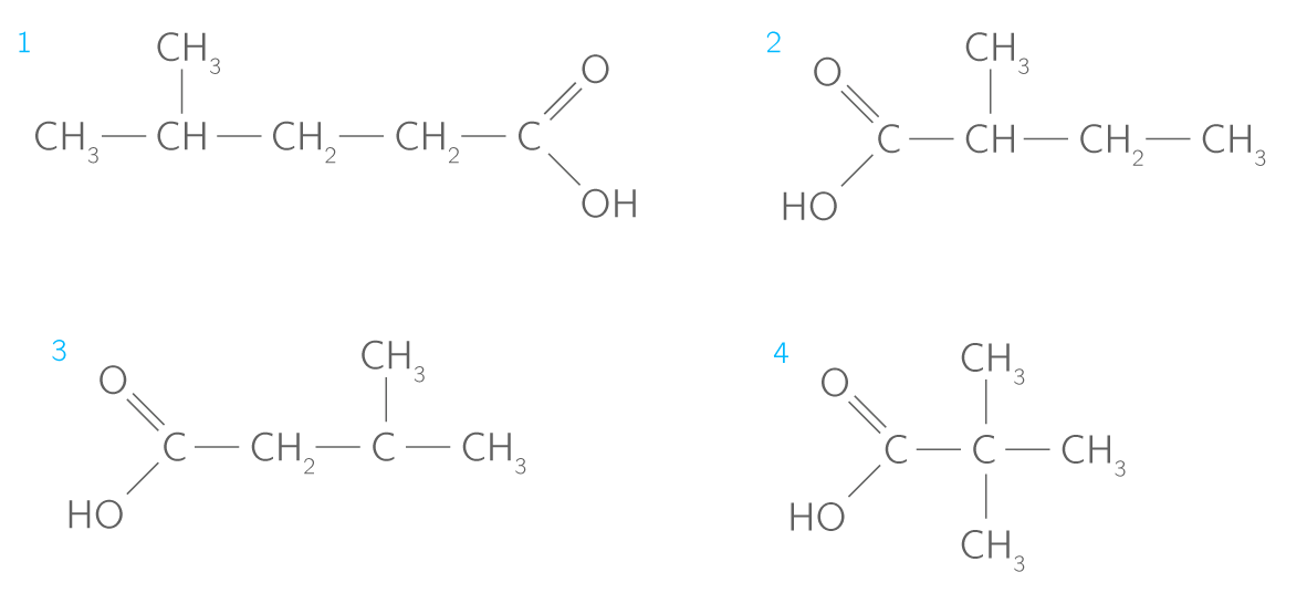 Etudier les isomères d'un acide carboxylique
