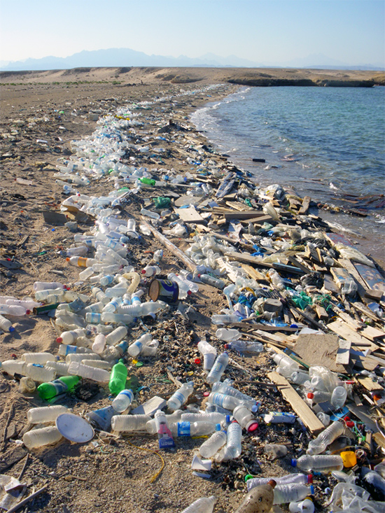 Déchets plastiques charriés sur les côtes en Égypte