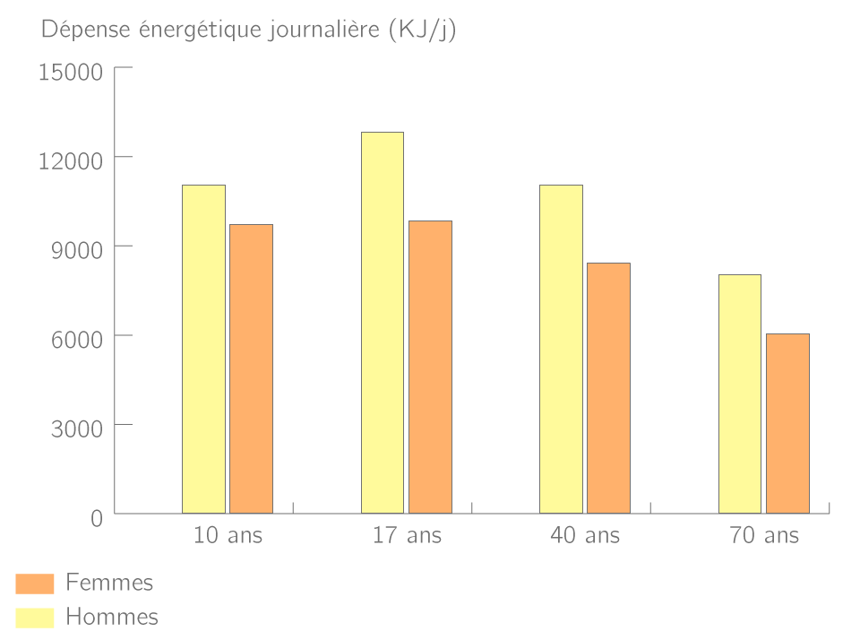 Les dépenses énergétiques en fonction du sexe et de l'âge