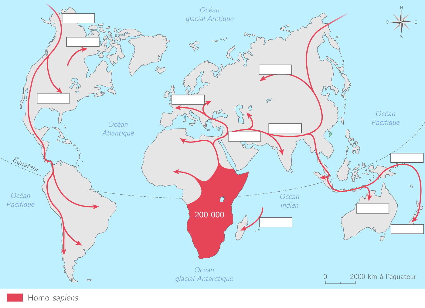 Compl ter La Carte Des Migrations Des Homo Sapiens 6e Exercice 