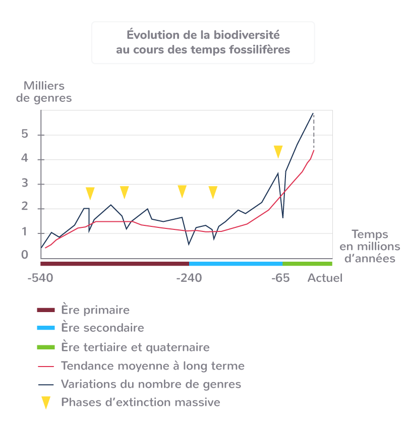 Les cinq crises biologiques majeures