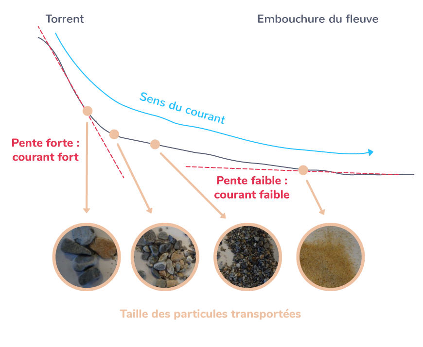 Transport des particules détritiques selon leur taille
