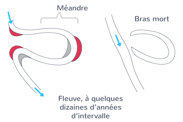 Modifications du cours d'un fleuve liées à l'érosion