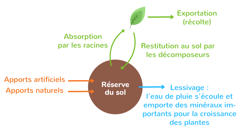 Les échanges d'azote entre le sol, la biosphère et l'atmosphère