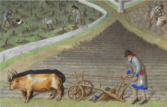 Un paysan laboure à la charrue