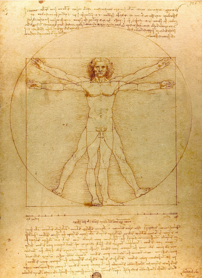 Dessin de Léonard de Vinci