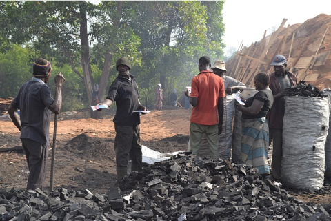 Production de charbon de bois à Yamoussoukro en Côte d'Ivoire