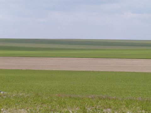 Paysage d'openfield au nord de Troyes, dans la Champagne crayeuse