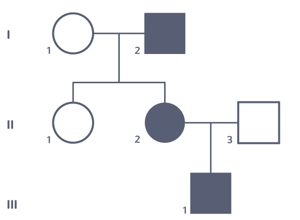 Un exemple d'arbre généalogiqueII−2 et III−1, fils de II−2, sont atteints. II−3, père de III−1 n'est pas atteint. I−1 et I−2, parents de II−2 ne le sont pas non plus.