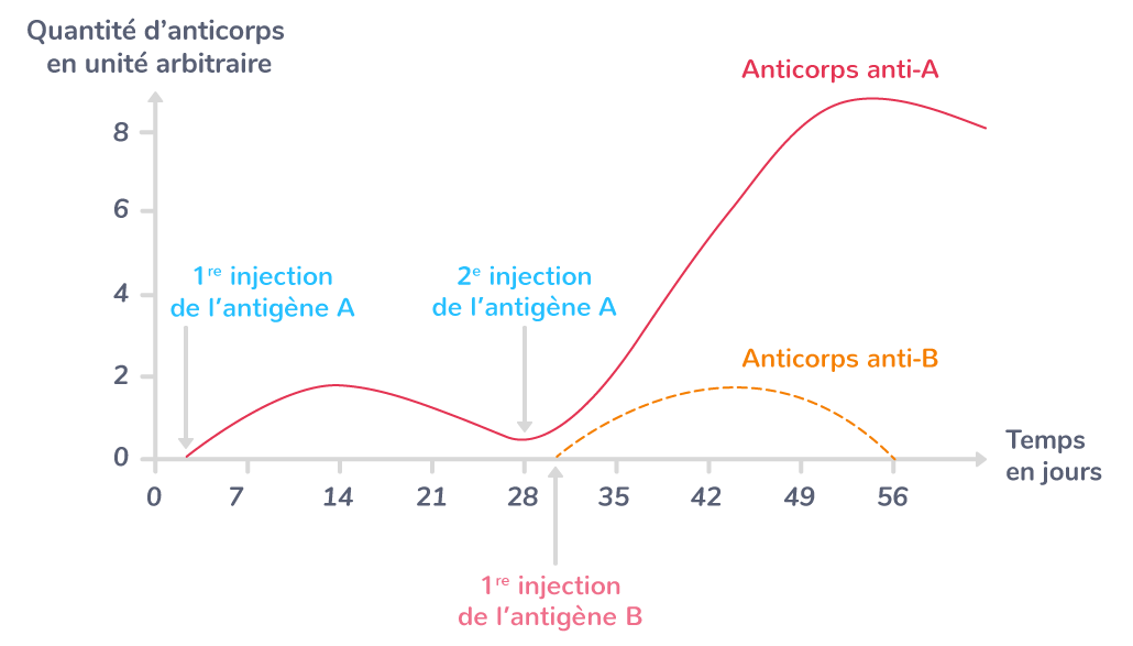 Le principe de la vaccination