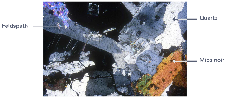 Observation au microscope polarisant d'une lame mince de granite