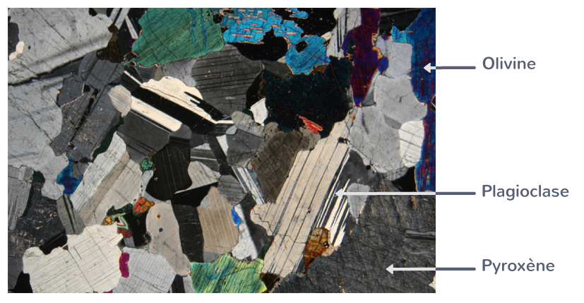 Observation au microscope polarisant d'une lame mince de gabbro
