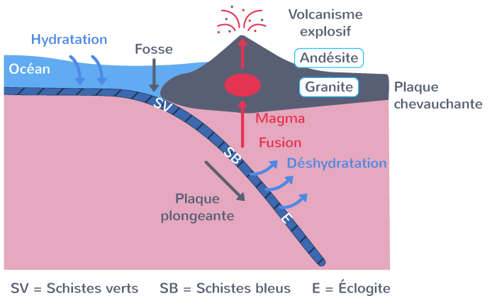 Magmatisme au niveau d'une zone de subduction