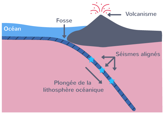 Coupe théorique au niveau d'une zone de subduction