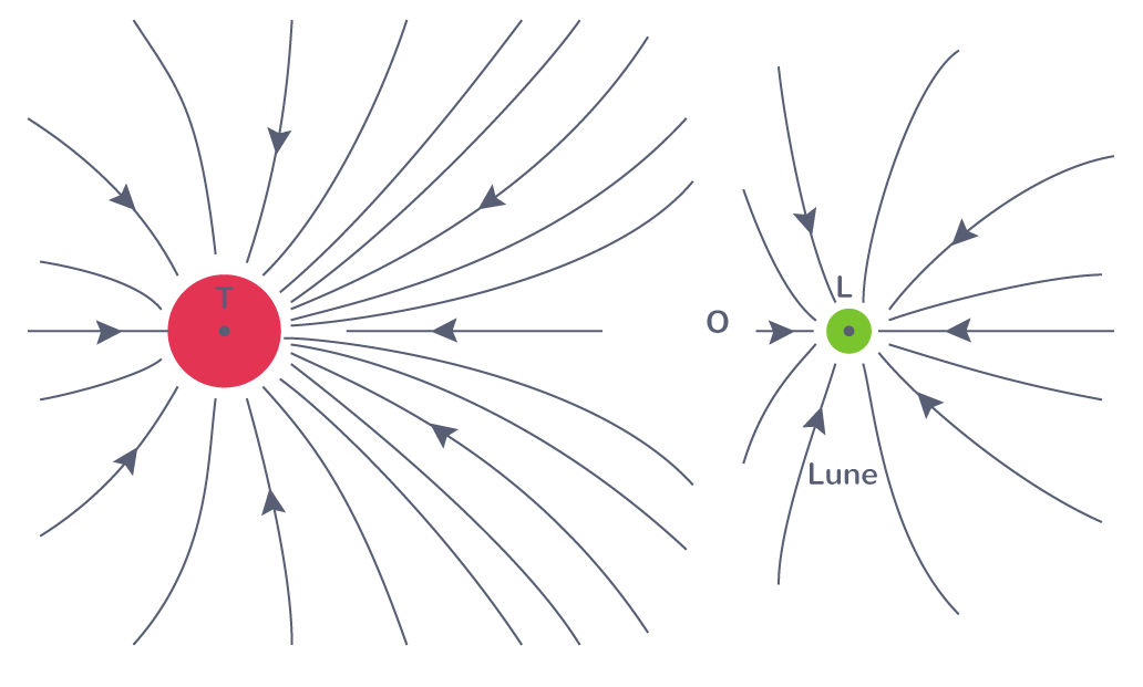 Lignes des champs de gravitation créés par la Terre et la Lune
