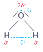Barycentres des charges partielles de la molécule d'eau