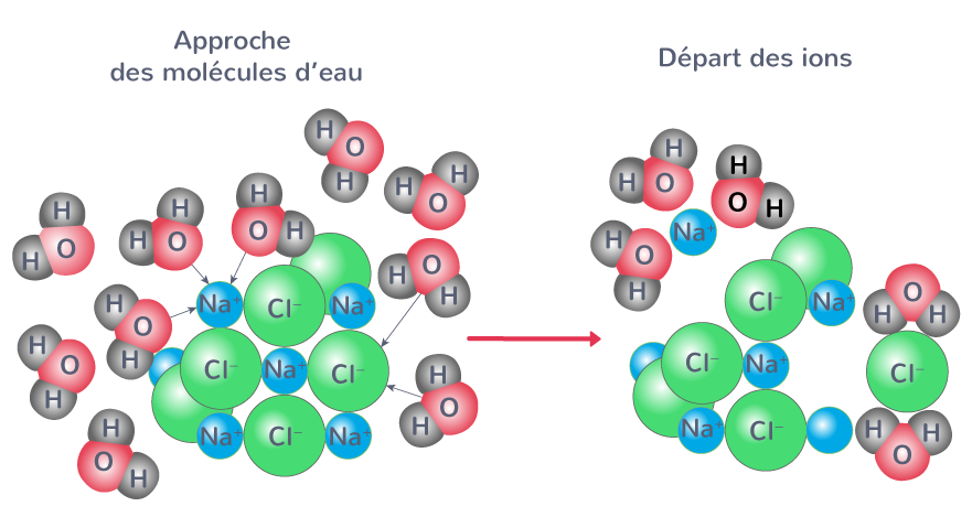 Dissociation des ions sodium Na+ et chlorure Cl− du sel dans l'eau