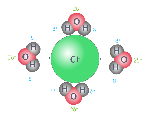 Hydratation des ions chlorure dans l'eau