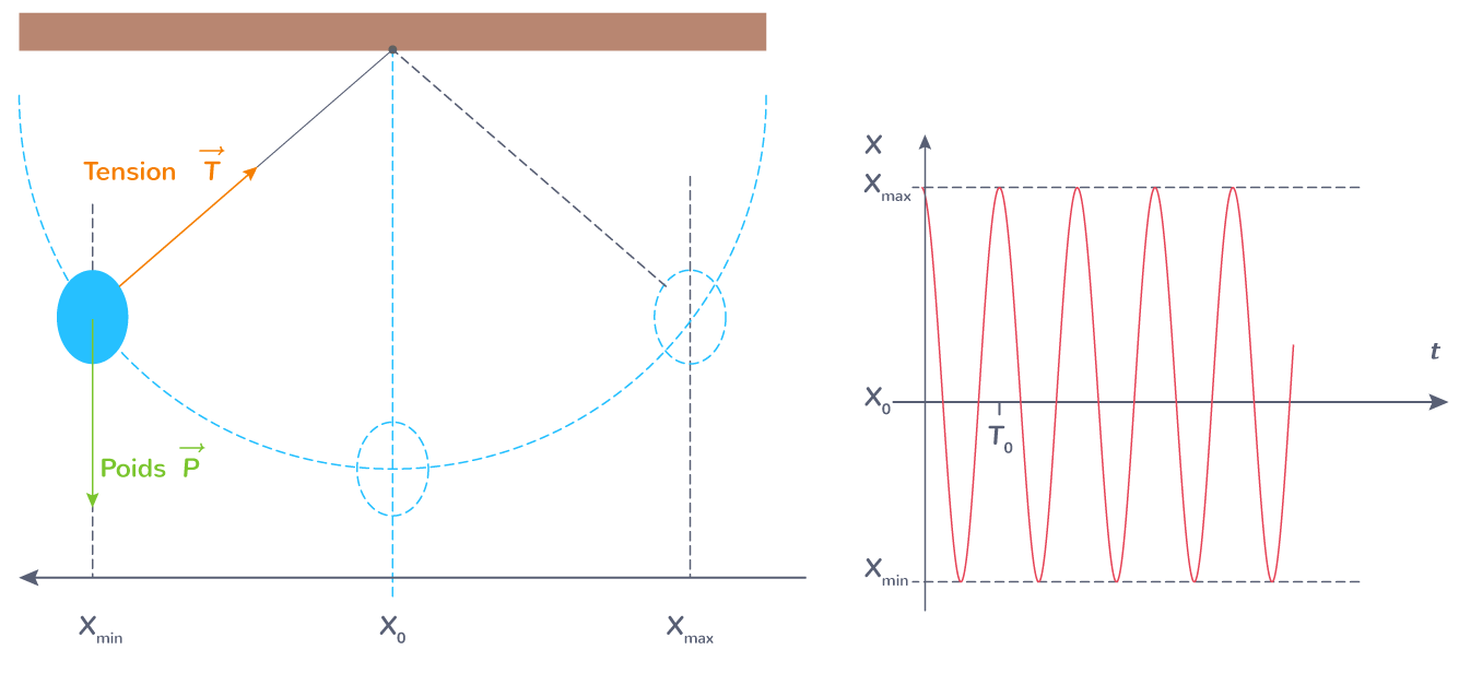 Oscillations d'un pendule simple