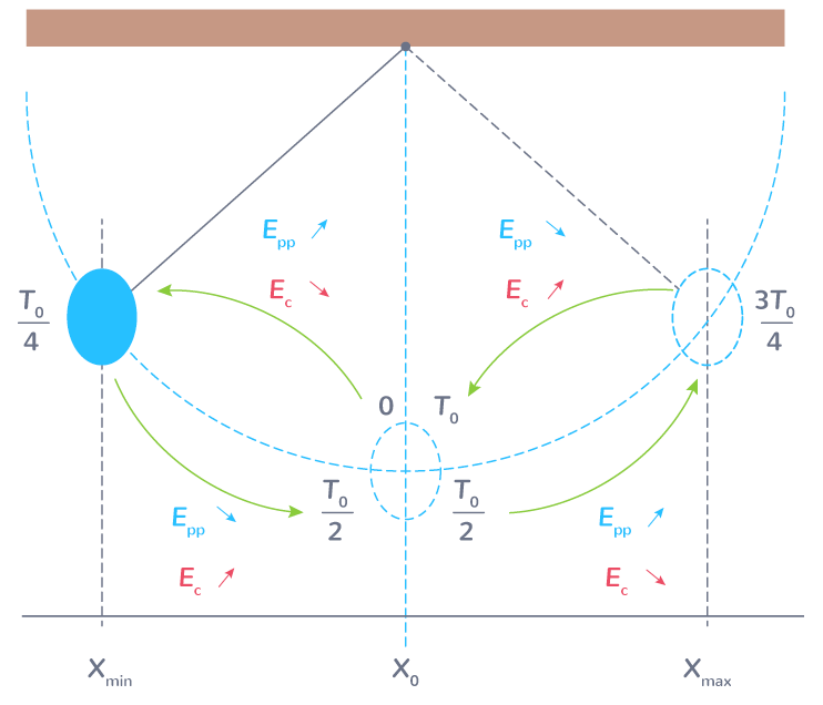 Variations des énergies cinétique et potentielle de pesanteur pendant les oscillations d'un pendule