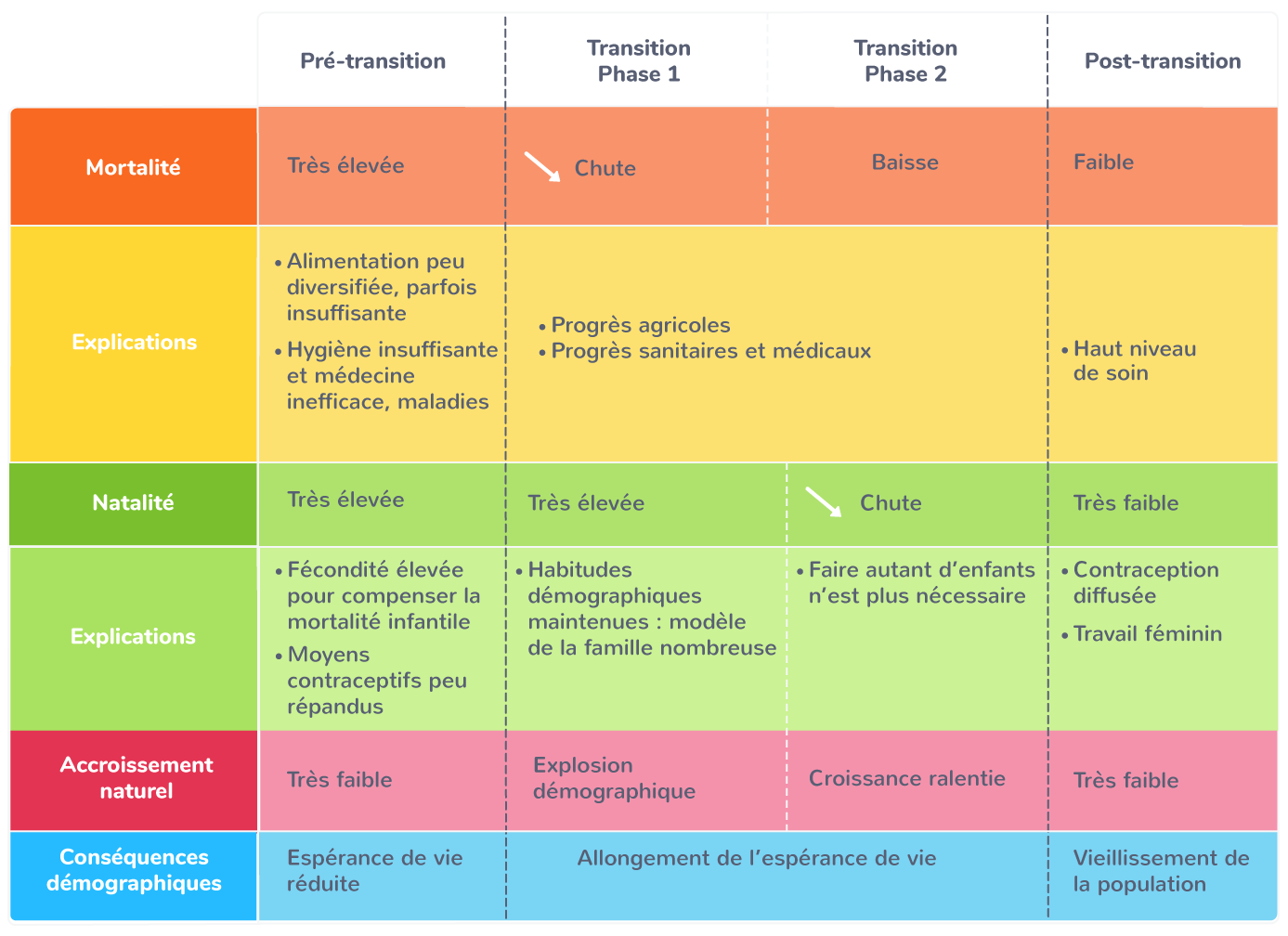 Analyser et comprendre la transition démographique