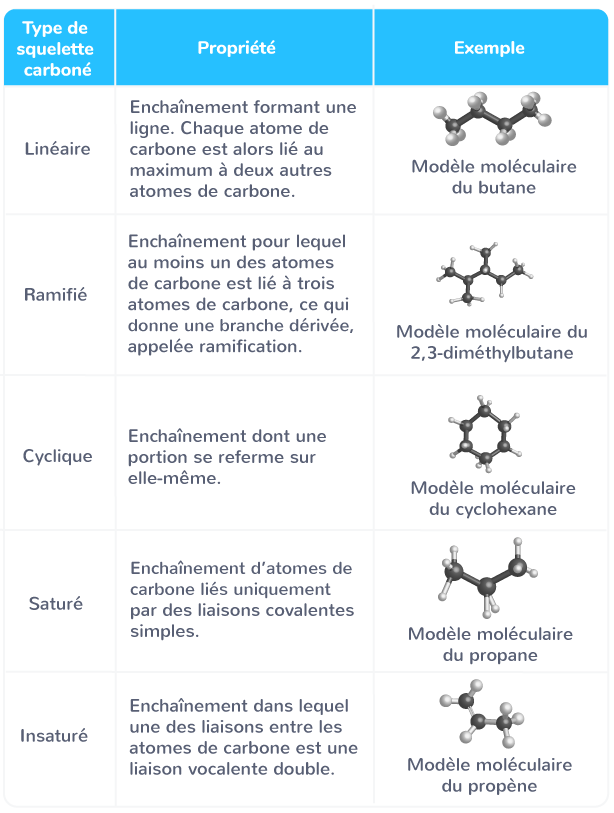 squelette carboné molécule organique différentes natures