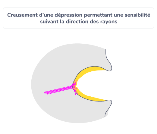 Creusement d’une dépression permettant une sensibilité suivant la direction des rayons