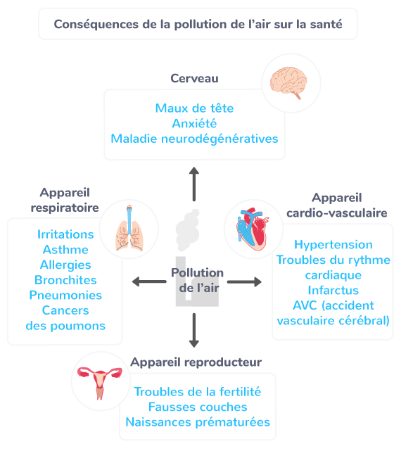 Conséquences de la pollution de l’air sur la santé