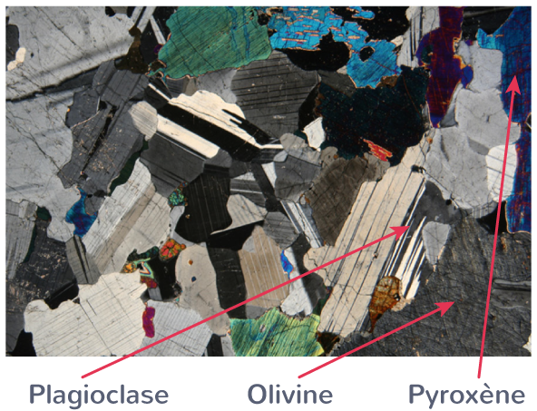 L gender Une Observation Microscopique De Gabbro 1 re Exercice De 